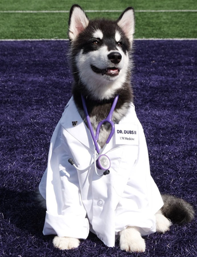 Celebrating Excellence in Teaching Across Alaska WWAMI