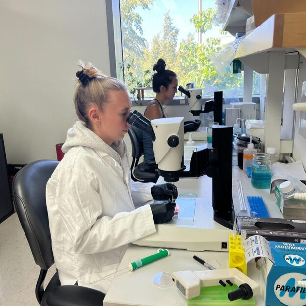 Feature: Sydney Sattler, a Ph.D. candidate in Genome Sciences & recipient of Curci Foundation Fellowship