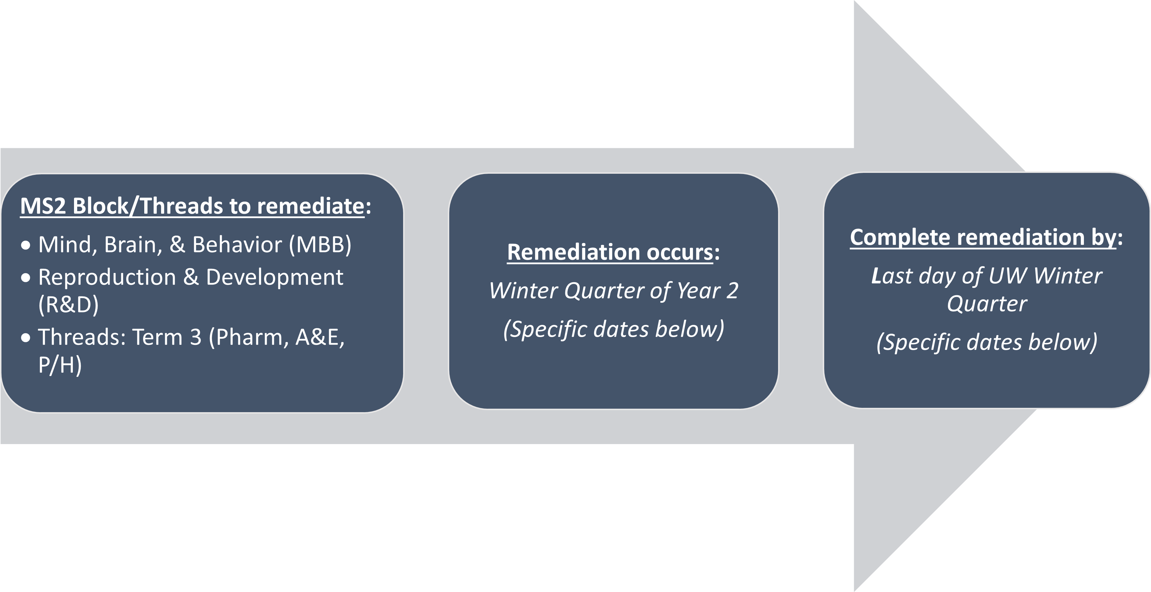 Timeline showing the courses and quarters for remediation for MS2s.