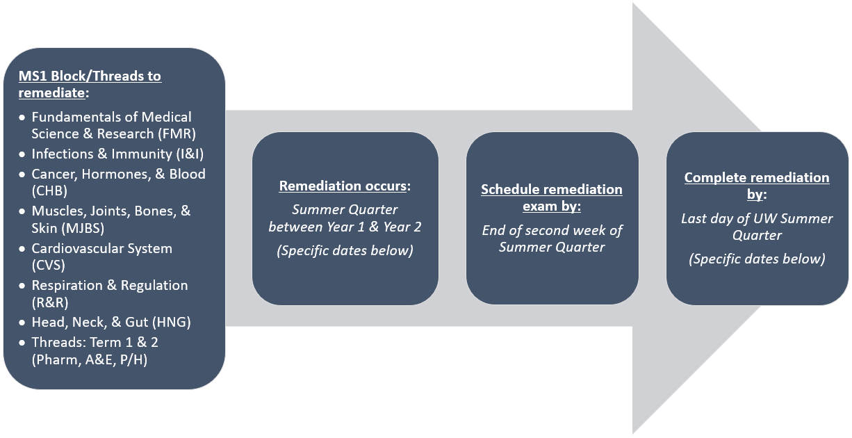 Visual timeline showing the list of courses and threads included in MS1 remediation; that remediation occurs in Summer Quarter between years 1 and 2; that the remediation exam must be scheduled by the end of the second week of the quarter; and that remediation must be completed by the last day of the UW Summer Quarter.