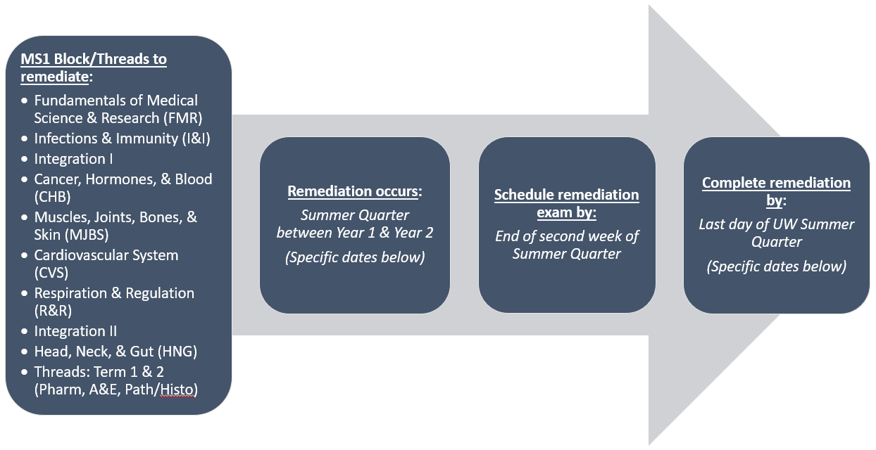 A visual timeline showing a list of courses and threads included in MS1 remediation, that MS1 remediation occurs during Summer Quarter, and the timeline to schedule and complete remediation exams.