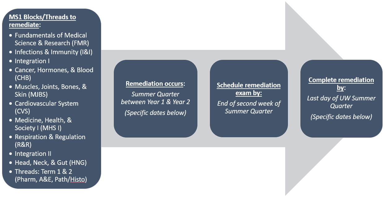 A visual timeline showing a list of courses and threads included in MS1 remediation, that MS1 remediation occurs during Summer Quarter, and the timeline to schedule and complete remediation exams.