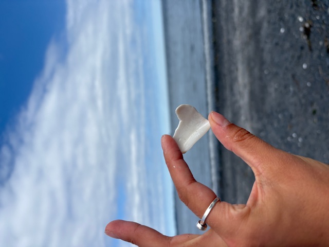 TRUST Program Connects New Alaska WWAMI Students to Rural Communities