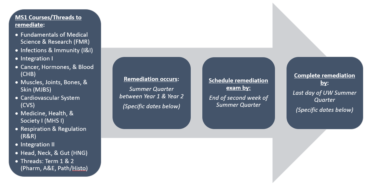 A visual timeline showing which MS1 courses/threads are remediated in Summer Quarter and high-level dates for remediation.