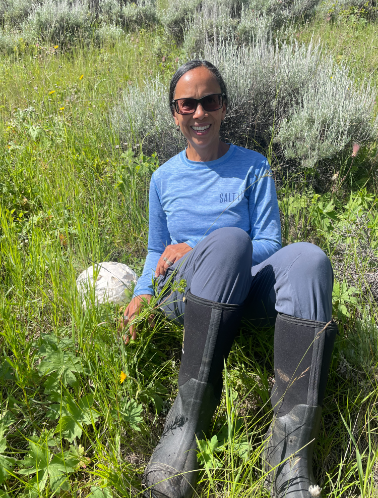 Dr. Colette Kirchhoff sits on a rock in a green field full of vegetation 