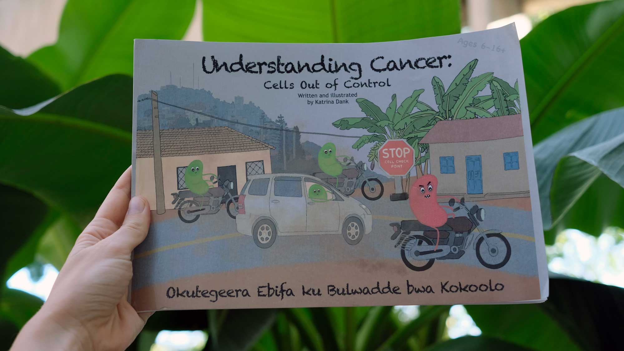 Cover of the Understanding Cancer book